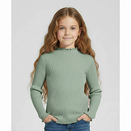 Водолазка лапша 2077400103