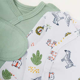 Комплект распашонок 2 шт интерлок 1204202602