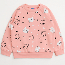 Толстовка футер 2х нитка начес 1027310114