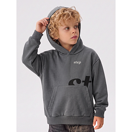 Толстовка футер 3х нитка петля 2083330103