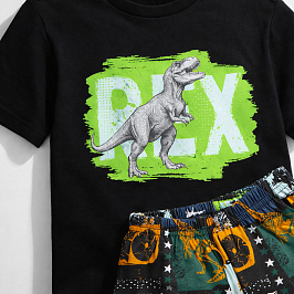 Комплект кулирка 7646100106