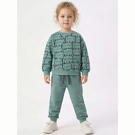 Костюм футер 2х нитка начёс 8807310102